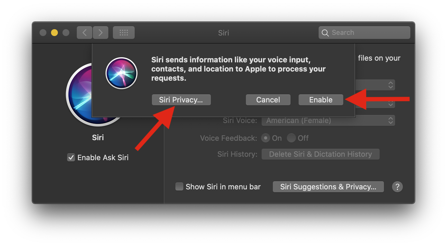 How to enable Siri on your mac